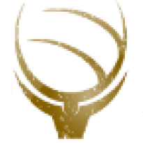 Abundant Professional Services logo